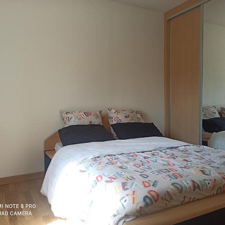 Super Appartement Avec Terasse Bischheim Dış mekan fotoğraf
