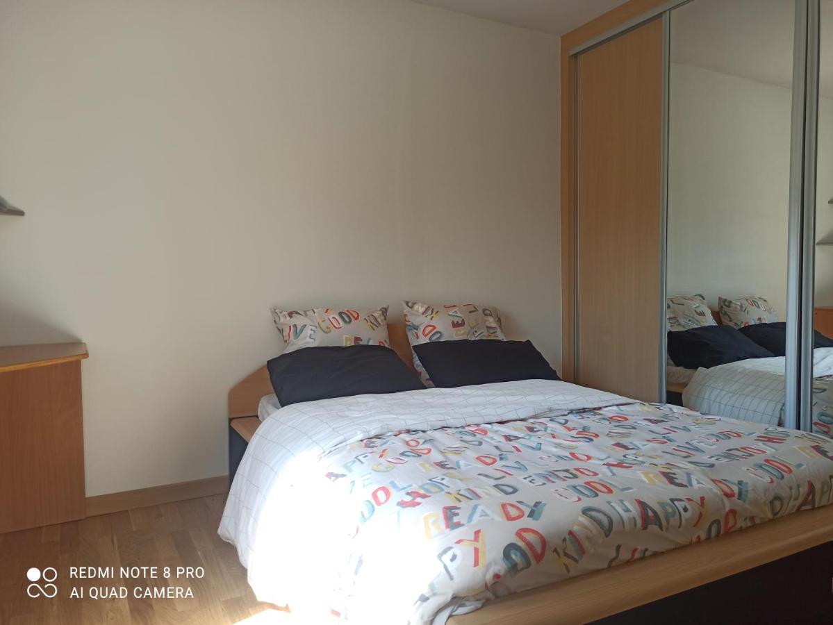 Super Appartement Avec Terasse Bischheim Dış mekan fotoğraf
