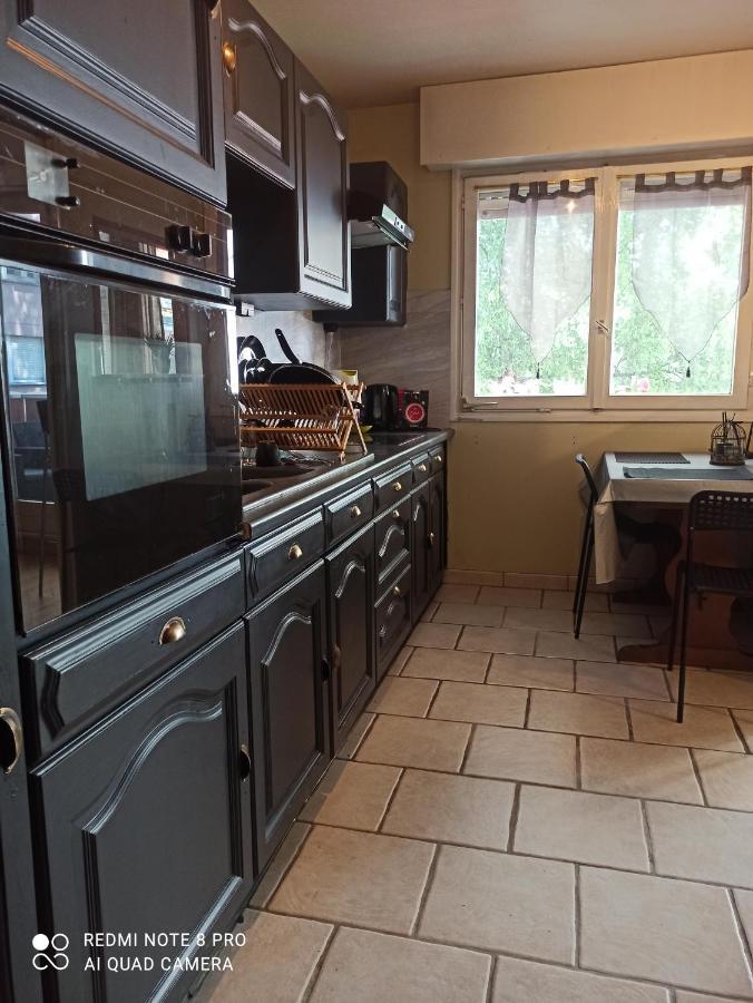 Super Appartement Avec Terasse Bischheim Dış mekan fotoğraf