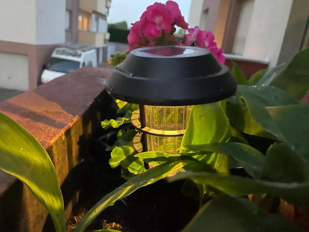 Super Appartement Avec Terasse Bischheim Dış mekan fotoğraf